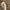 Sepatu Yeezy photo 4