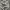 Polo ralph lauren multipocket cargo pants photo 4
