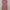 Dusty Pink Elegant V Neck Sleeveless Simple Korean Preloved