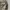 MILITARY SHIRT GUILTY PARTIES PATCHES photo 5