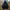 THE NORTH FACE OUTDOOR JACKET photo 2