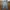 CHEVIGNON CARGO DENIM PANTS