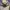 JAPANESE CLASSIC SCRIPT SUKAJAN FULL BORDIR CANVAS JACKET photo 3