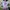 Shein Y2K Casual Crop top Wanita purple white photo 3