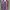 shawl-scarf dark feminine mazzy star coded  photo 5