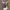 shawl-scarf dark feminine mazzy star coded  photo 2
