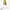 Just Cavalli Women Long Slevee photo 5