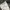Japanese brand Streetwear Y2K Jeans Pria gray photo 4