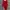 red outer pattern with fur photo 4
