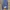 blue outer knitwear photo 6