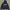 GAP Streetwear Minimalist Hoody Pria navy photo 1