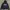 GAP Streetwear Minimalist Hoody Pria Navy