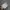 Nike Streetwear Sportswear Hoody Pria gray photo 6