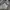Nike Streetwear Sportswear Hoody Pria gray photo 5