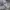 Nike Streetwear Sportswear Hoody Pria white photo 7
