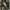 NEIGHBORHOOD x A Bathing Ape x adidas
POD-S3.1 photo 7