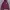 Adidas Streetwear Sportswear Hoody Pria Burgundy