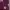 Adidas Streetwear Sportswear Hoody Pria burgundy photo 2