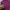Adidas Streetwear Sportswear Hoody Pria burgundy photo 3