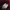 Adidas Streetwear Sportswear Hoody Pria burgundy red photo 7