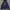 Adidas Streetwear Sportswear Hoody Pria Navy