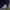 Adidas Streetwear Sportswear Hoody Pria navy photo 5