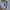 Adidas Streetwear Sportswear Hoody Pria gray photo 4