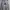 Adidas Streetwear Sportswear Hoody Pria gray photo 1