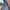 Vintage Harrington jacket Pria gray photo 6