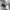 Stussy Casual Short Pria multicolor photo 7