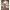 Minimalist Cardigan Wanita cream photo 1