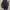 Daypack 10 Liter