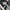 Vans sk8 Logo repeat photo 5