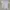 Air Jordan white baby tee photo 2