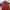 Casual Harrington Jacket Pria Burgundy