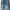 Jack & Jones Tapered Fred Denim Blue Jeans Original photo 5