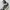 Converse one star photo 3