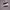 slip-on DC Shoes Villain photo 2