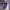 slip-on DC Shoes Villain photo 4