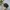 Marvel Casual Hat Pria white black photo 4