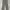TIMBERLAND "Calderbrook" Straight Fit Chino Pants - Sage Gre