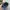 Teenie Weenie Sportswear Casual Hat Pria multicolor black photo 5