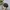 Teenie Weenie Sportswear Casual Hat Pria multicolor black photo 4