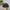 Teenie Weenie Sportswear Casual Hat Pria multicolor black photo 3