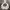 Stussy Casual Hoody Pria silver photo 1
