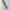 Dickies Vintage Casual Casual pants Pria khaki cream photo 4