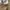 Dickies Vintage Casual Casual pants Pria khaki cream photo 5