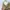 Dickies Vintage Casual Casual pants Pria khaki cream photo 6