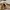 Gramicci x Beams Convertible Long Pants Trousers Outdoor photo 6