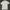 Champion Streetwear Casual T-shirt Wanita gray photo 1